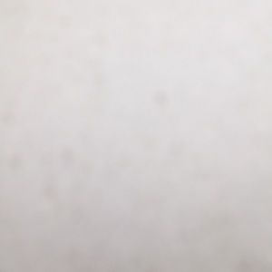 Meet your Posher, Brook